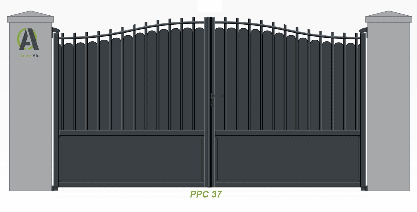 Cactus PPC37 2D