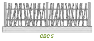 Alisma CBC5 Picto 1 png