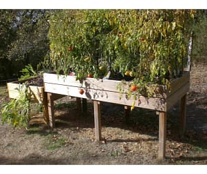 TP004 table potagere en bois grandes dimensions webp
