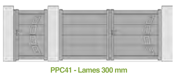 Camelia 300 PPC41 Fusain 1 png