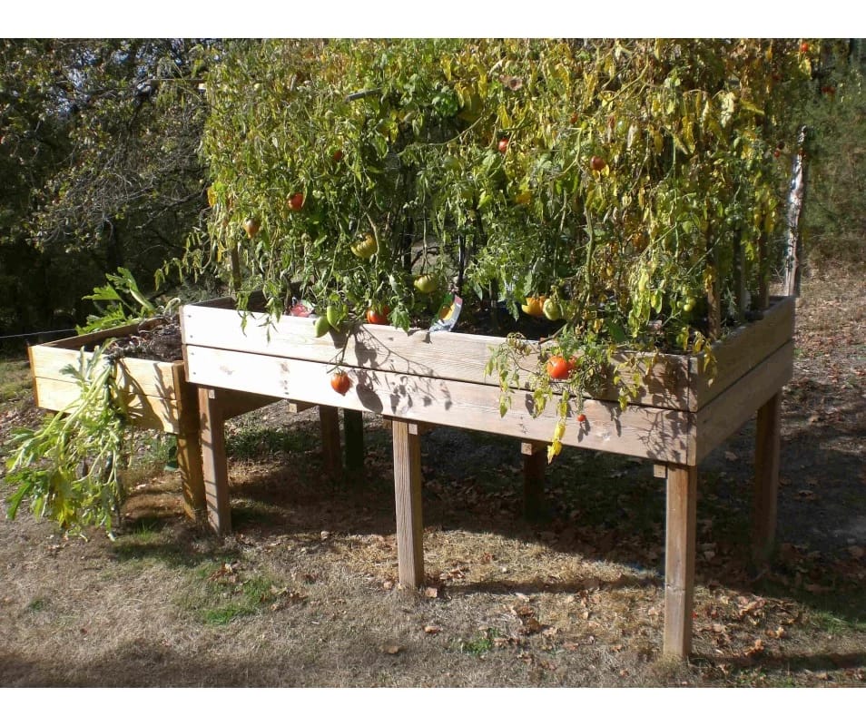 TP004 table potagere en bois grandes dimensions webp